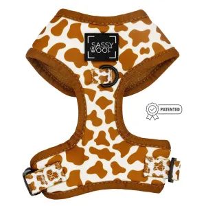Chocolate Milk Adjustable Harness