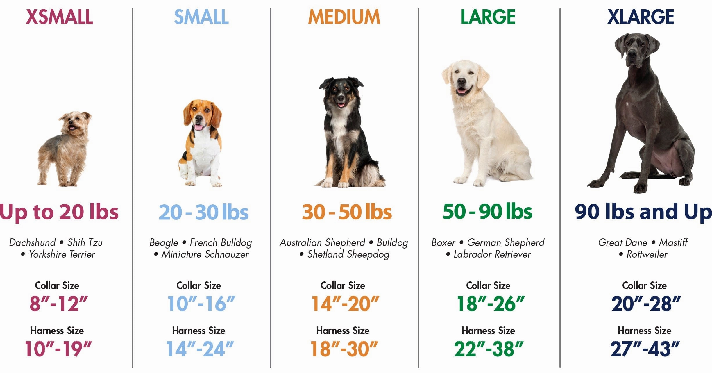 Coastal Pet Products K9 Explorer Brights Reflective Adjustable Dog Collar in Ocean