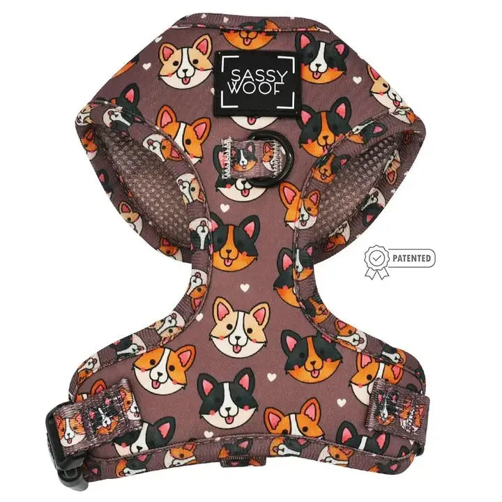 Cuddly Corgis Adjustable Harness