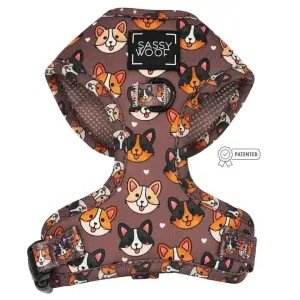 Cuddly Corgis Adjustable Harness