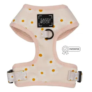 Dainty Daisy Adjustable Dog Harness