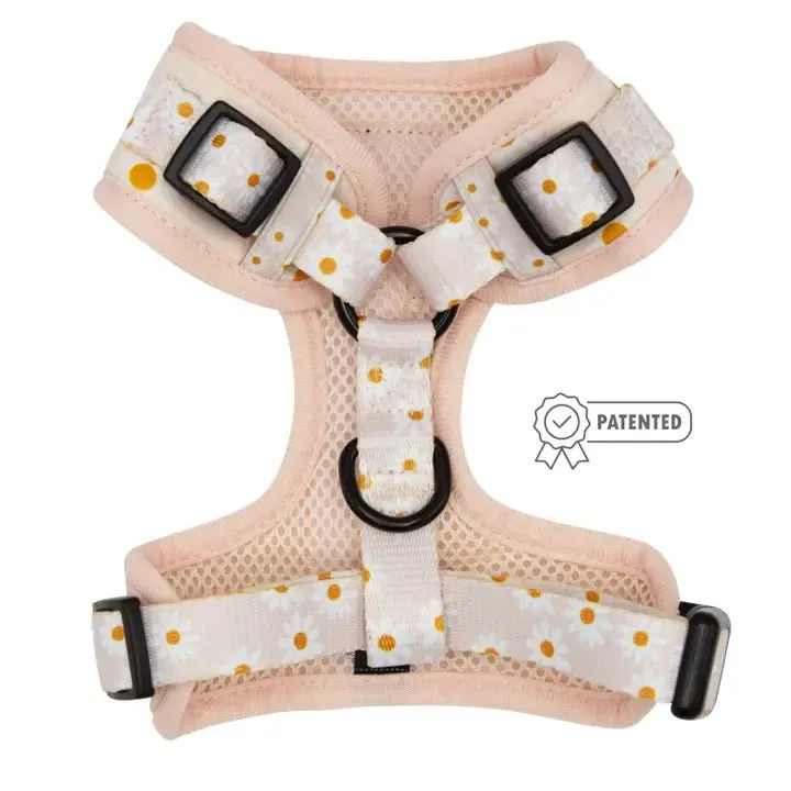 Dainty Daisy Adjustable Dog Harness