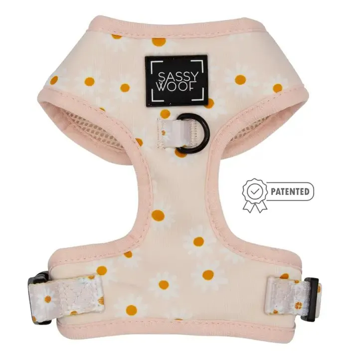 Dainty Daisy Adjustable Dog Harness