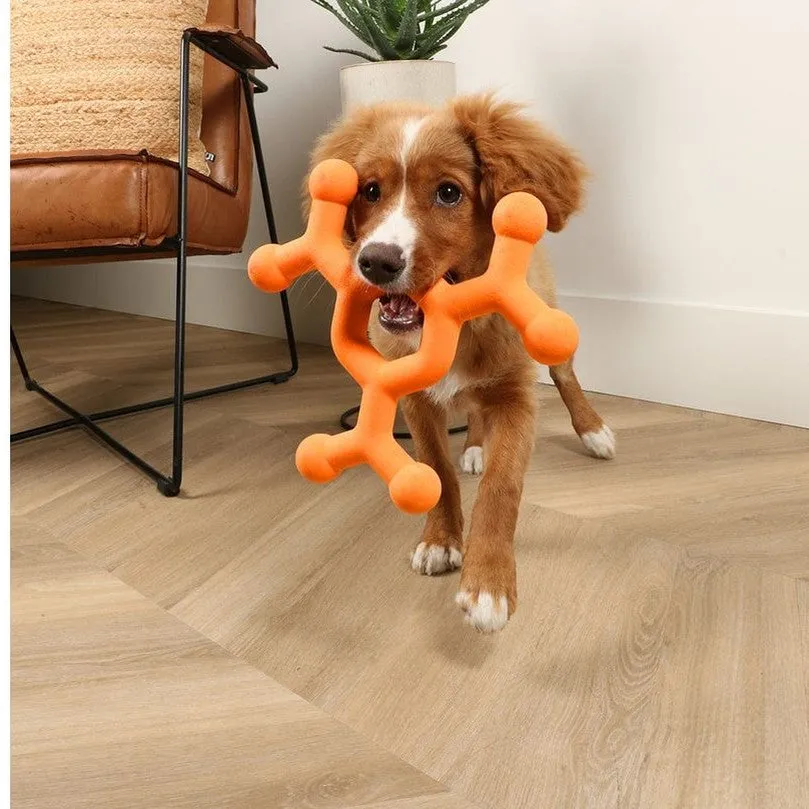 Dawg Science - Dog Toy
