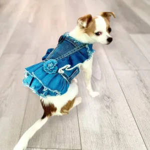 Denim Rose Harness Dress