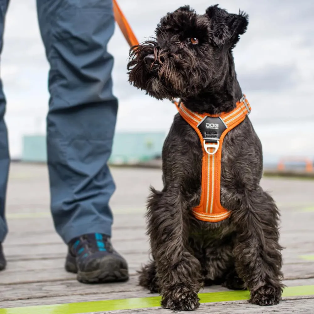 DOG Copenhagen Comfort Walk Air Dog Harness (Orange Sun)