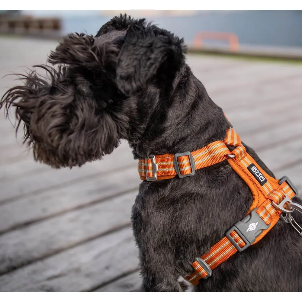 DOG Copenhagen Comfort Walk Air Dog Harness (Orange Sun)