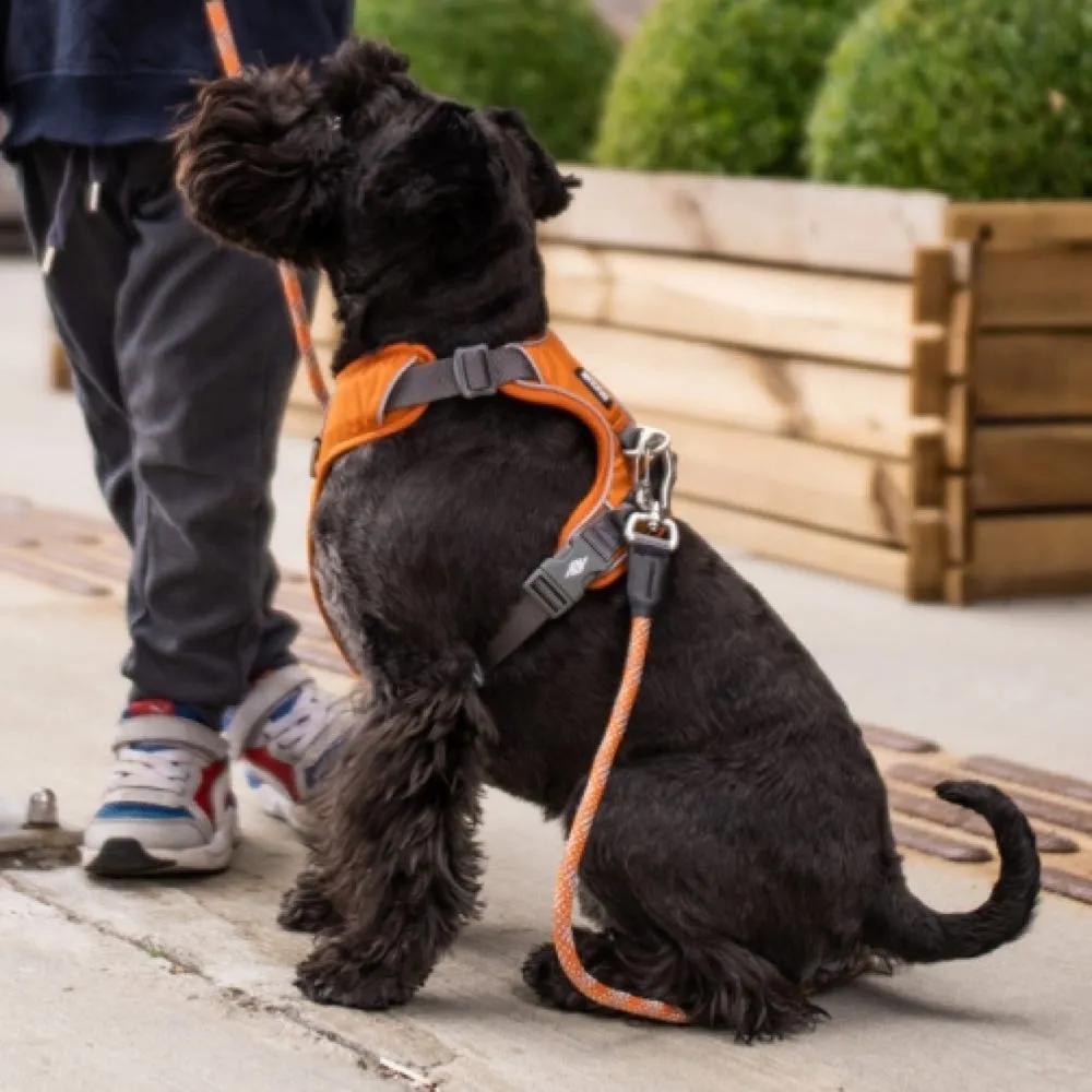 DOG Copenhagen Comfort Walk Pro Dog Harness (Orange Sun)