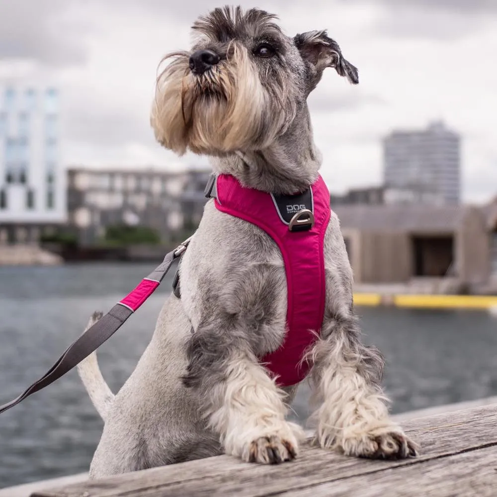 DOG Copenhagen Comfort Walk Pro Dog Harness (Orange Sun)