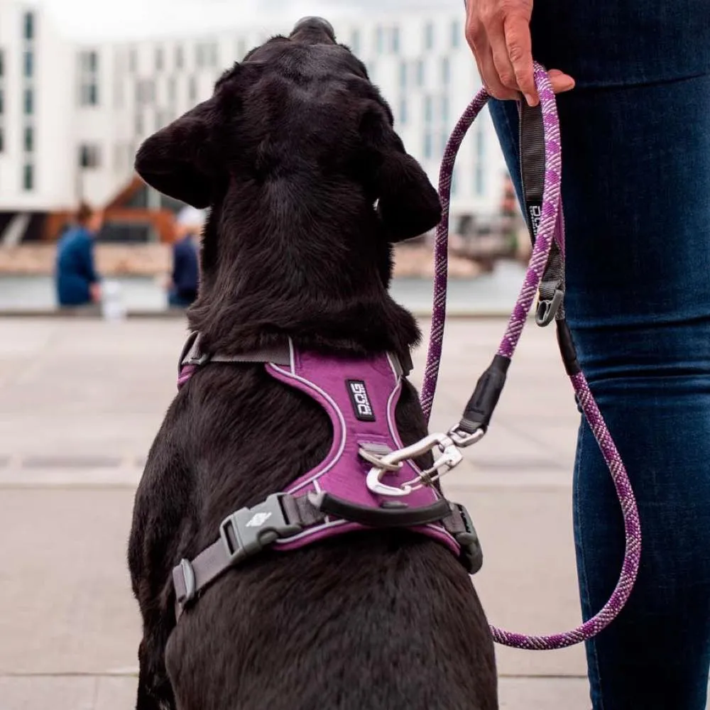 DOG Copenhagen Comfort Walk Pro Dog Harness (Orange Sun)