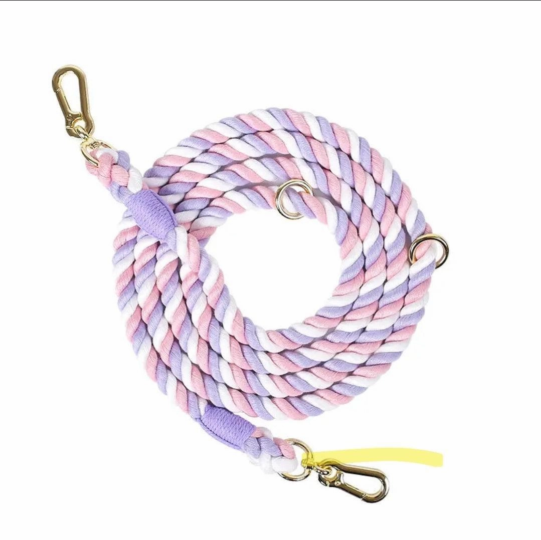 Dog Braided Leash Slip Rope