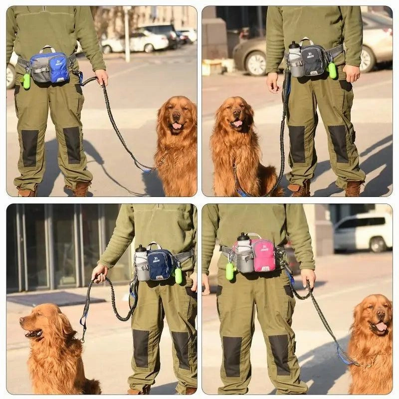Dog Walking Belt & Lead - Hiking, Running Fully Adjustable