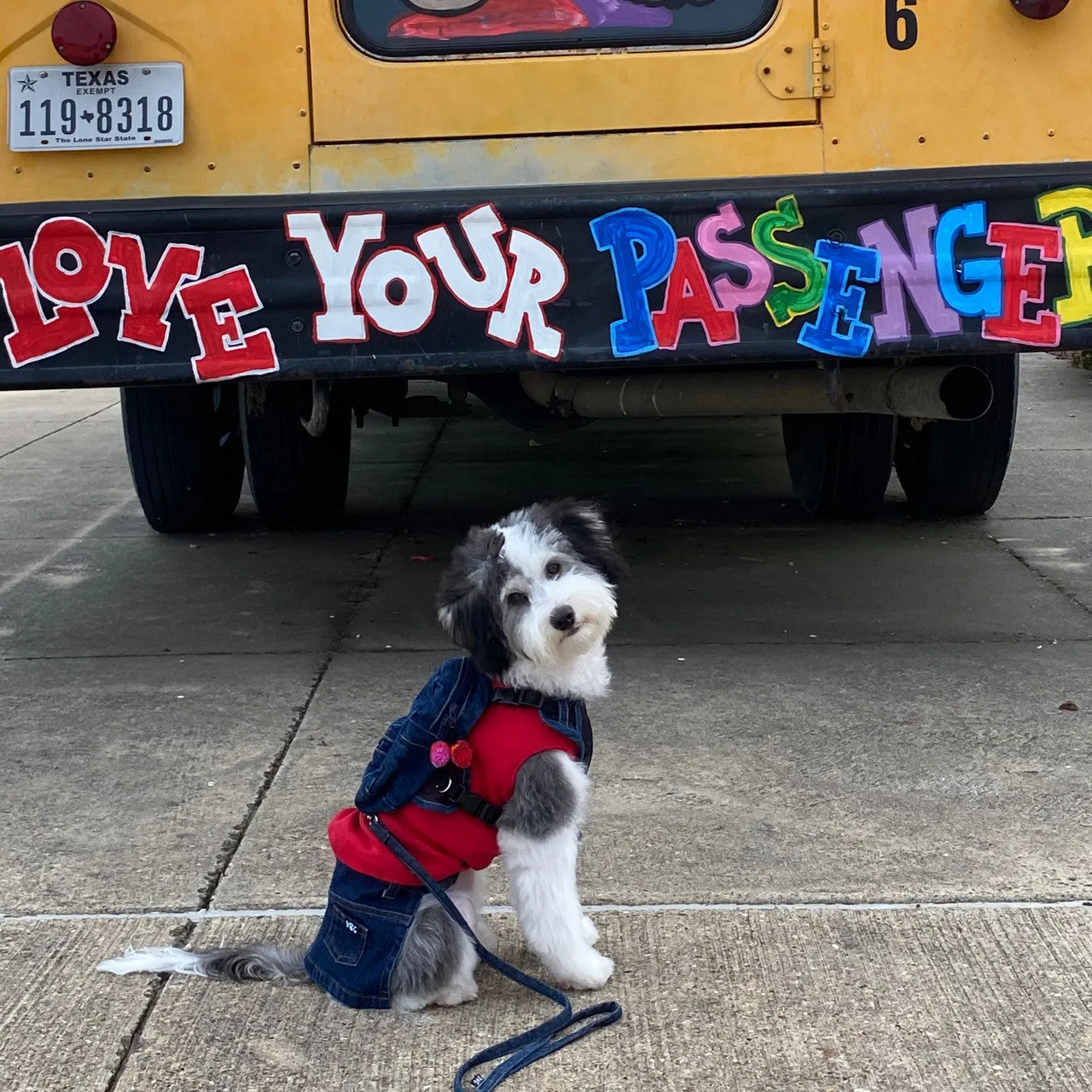 Doggie Denim Backpack Harness Vest