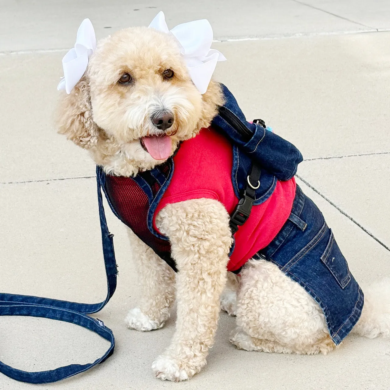 Doggie Denim Backpack Harness Vest