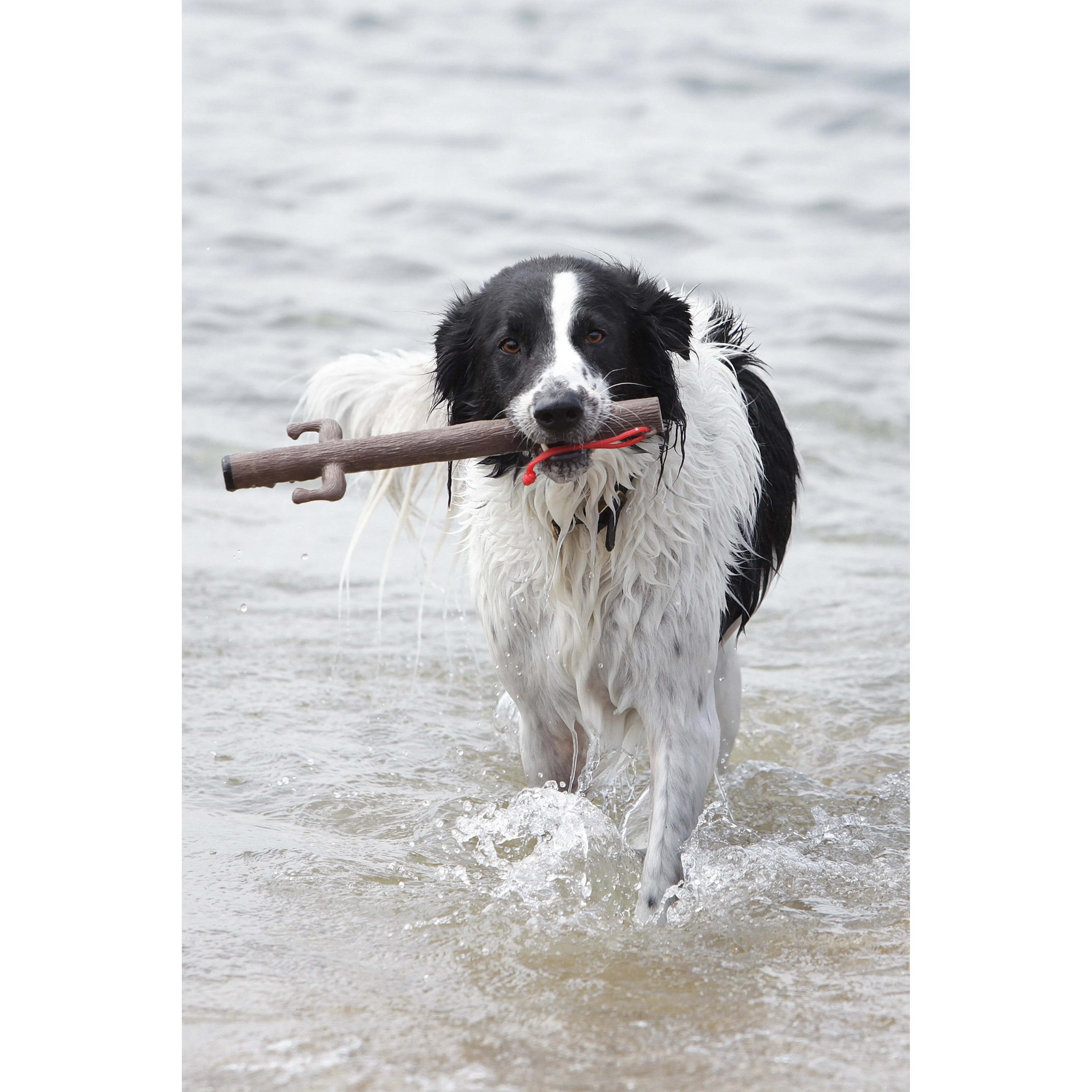 Doog Stick Dog Toy Barkley