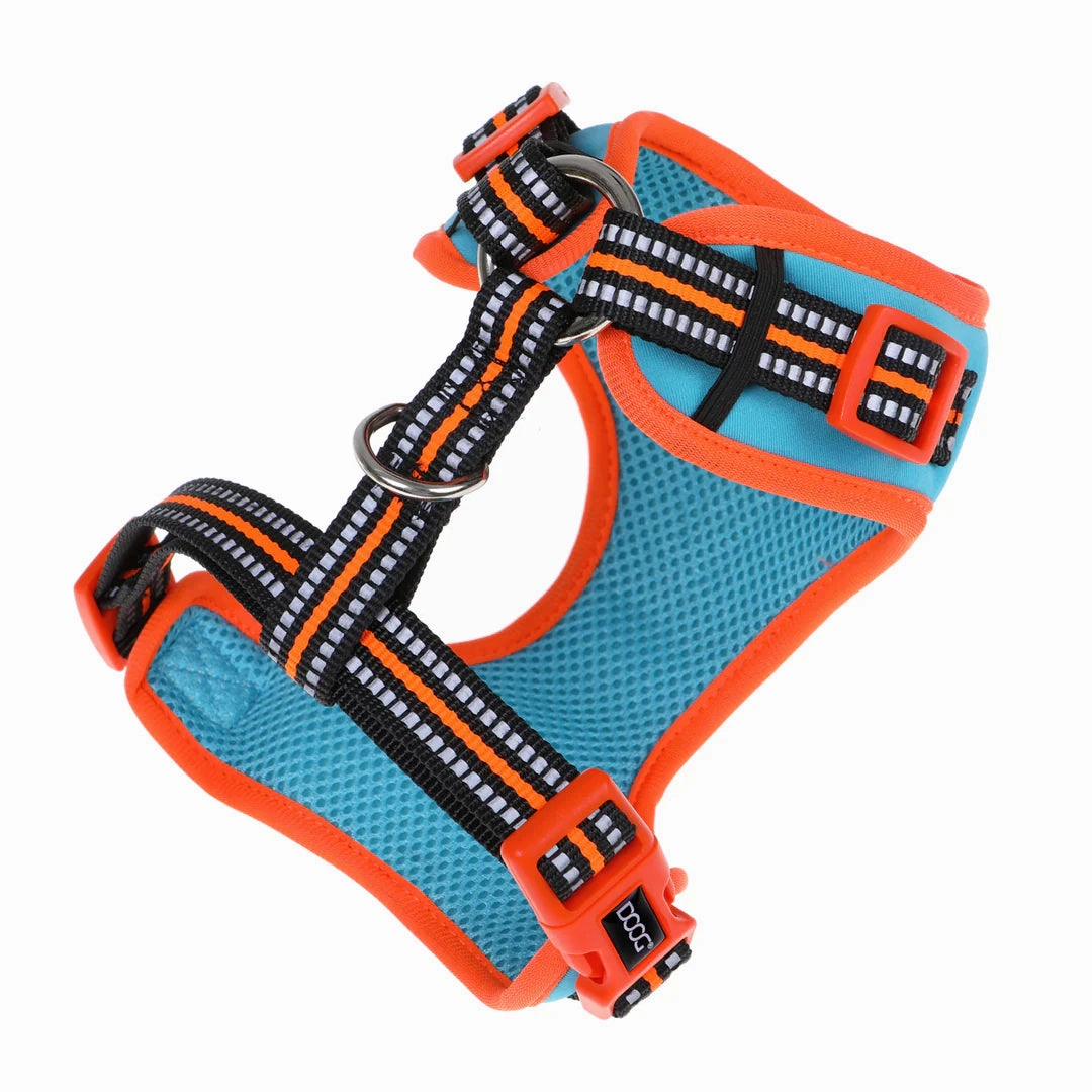 DOOG Neoflex Neoprene Beethoven Neon Blue and Orange Dog Harness Extra Large