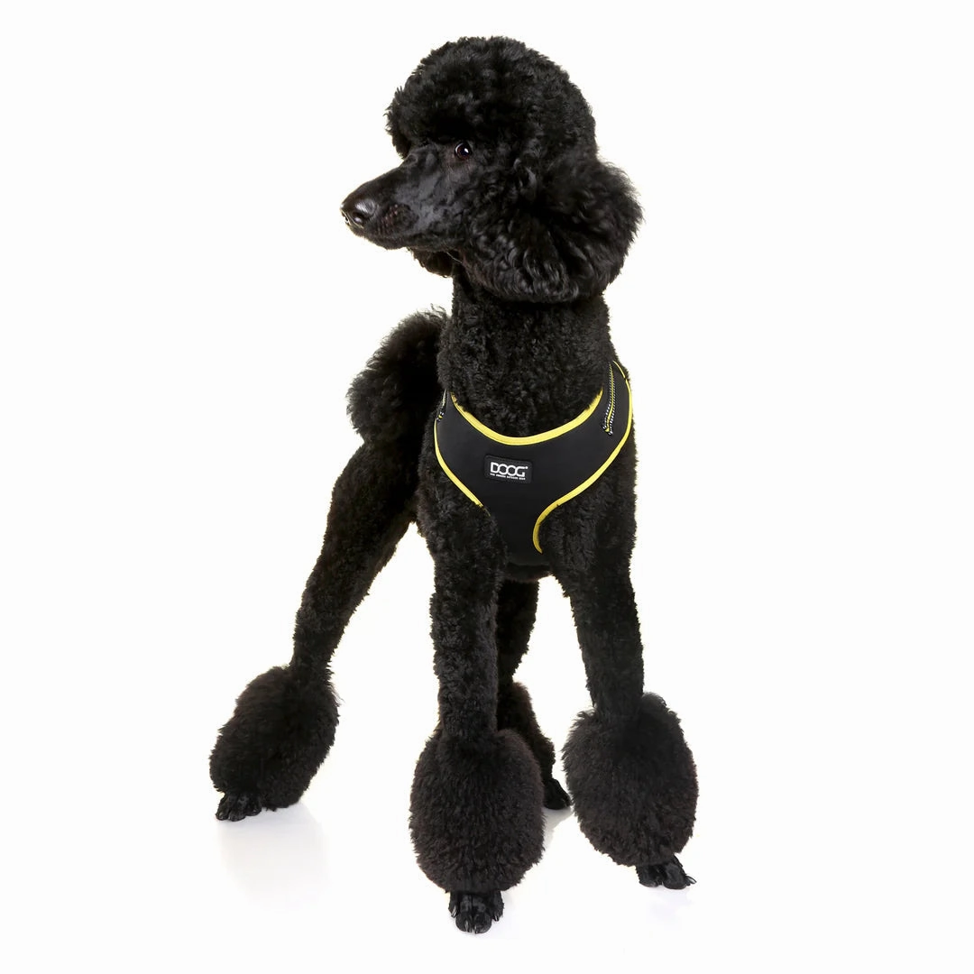 DOOG Neoflex Neoprene Bolt Neon Black and Yellow Dog Harness Medium