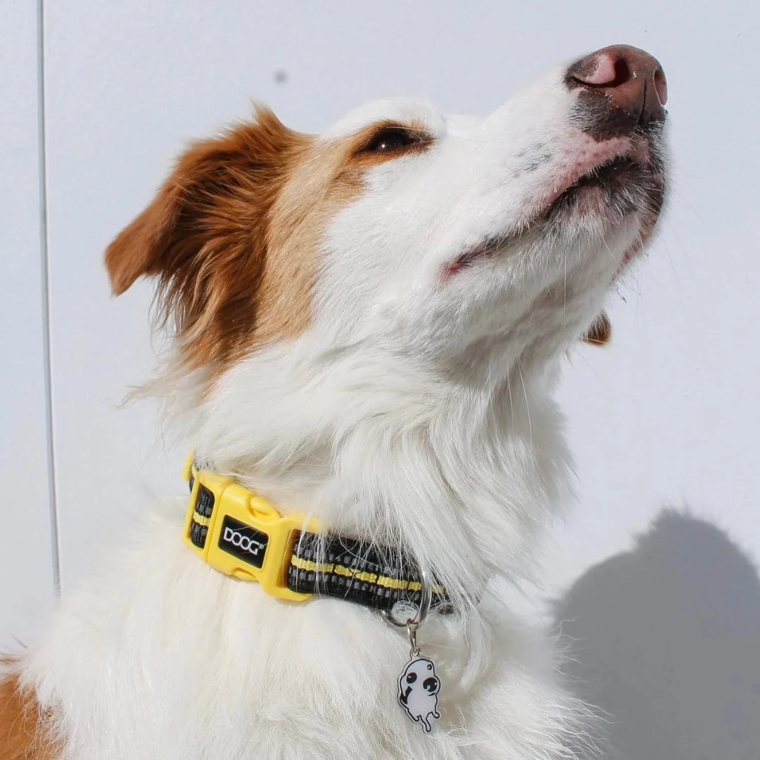DOOG Neoprene Bolt Neon Black and Yellow Dog Collar Extra Small