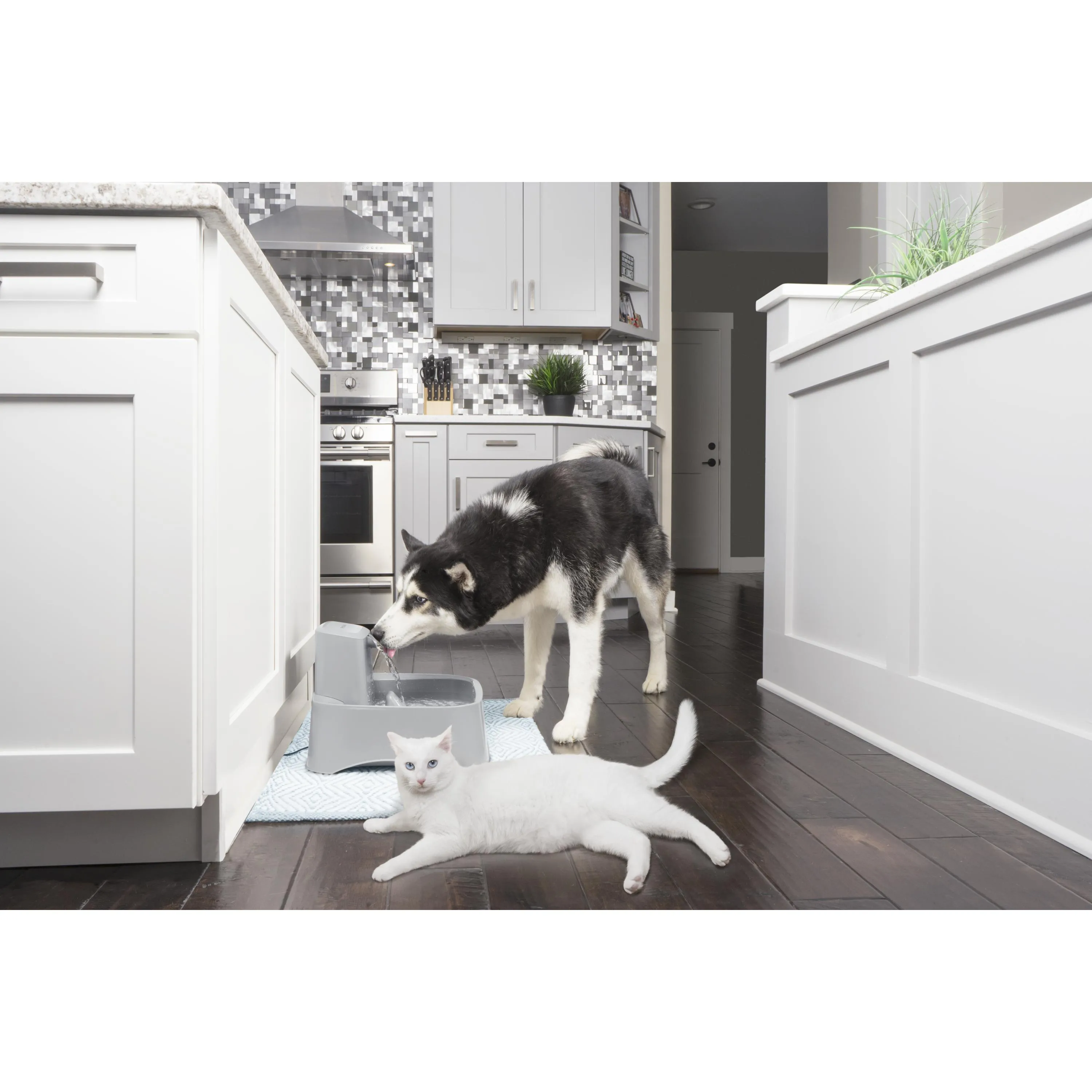Drinkwell Fresh Water Pet Fountain 7.5 Litres for Cats and Dogs