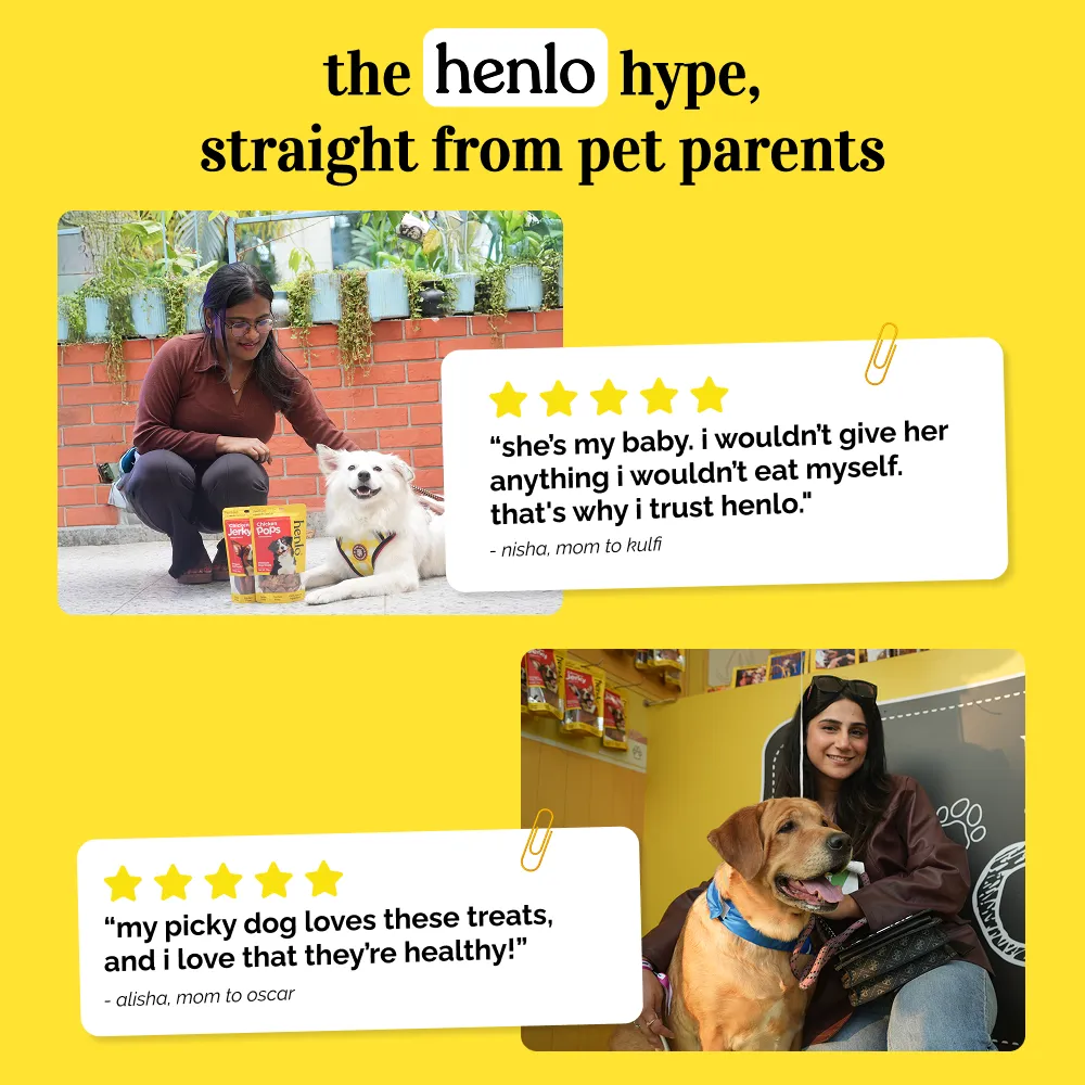 Drools Non-Toxic Rubber Hole Ball Toy & Henlo Chicken Jerky Treats | High-Protein, Guilt-Free Dog Combo