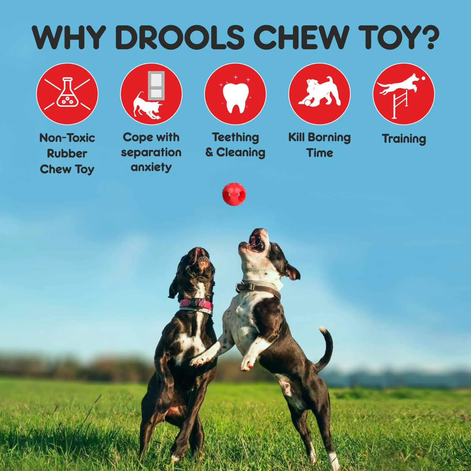 Drools Non-Toxic Rubber Hole Ball Toy & Henlo Chicken Jerky Treats | High-Protein, Guilt-Free Dog Combo