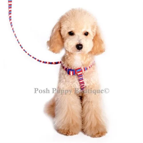 EasyCLICK Harness Fun Stripes