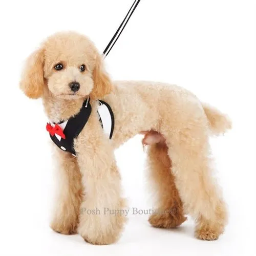 EasyGO Bowtie Step-in Harness