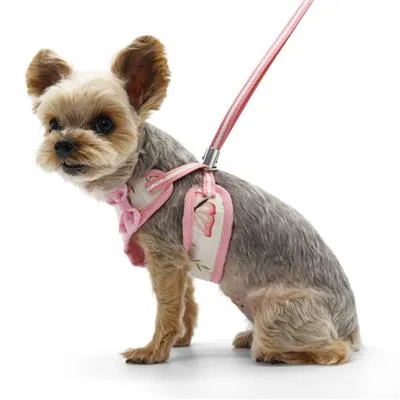 EasyGO Butterfly Harness