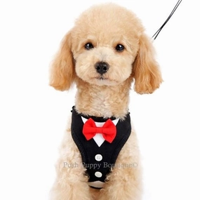 EasyGO Bowtie Step-in Harness