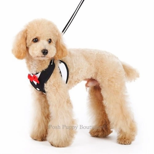 EasyGO Bowtie Step-in Harness