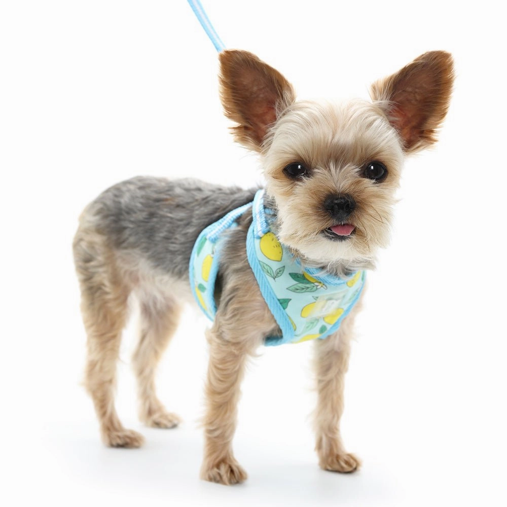 EasyGo Lemon Harness in Blue