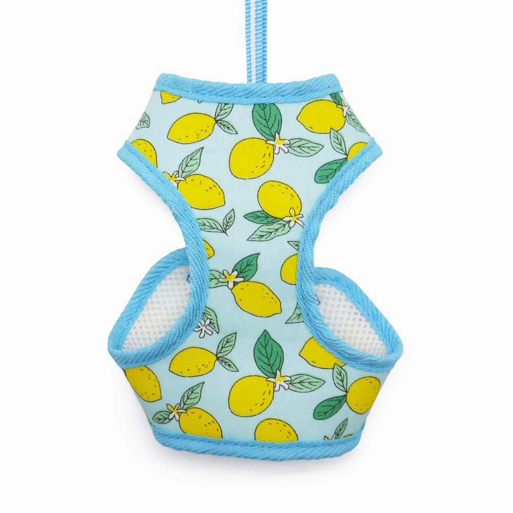 EasyGo Lemon Harness in Blue