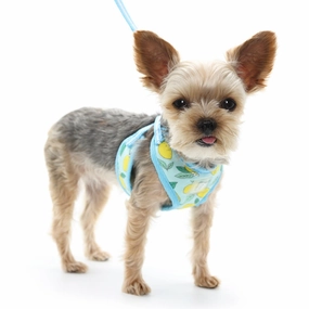 EasyGo Lemon Harness in Blue