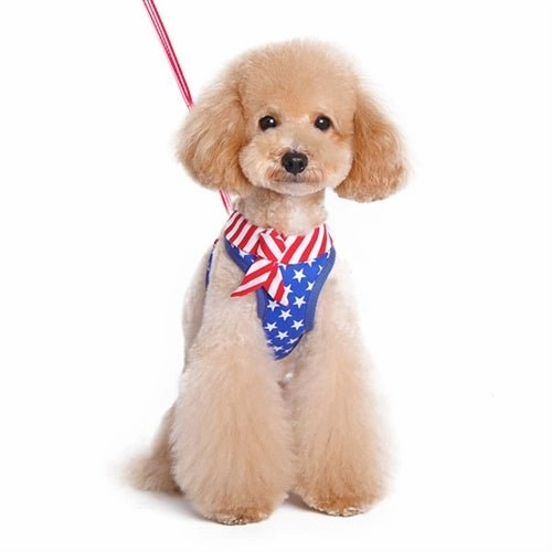 EasyGO USA Step in Harness