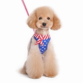 EasyGO USA Step in Harness