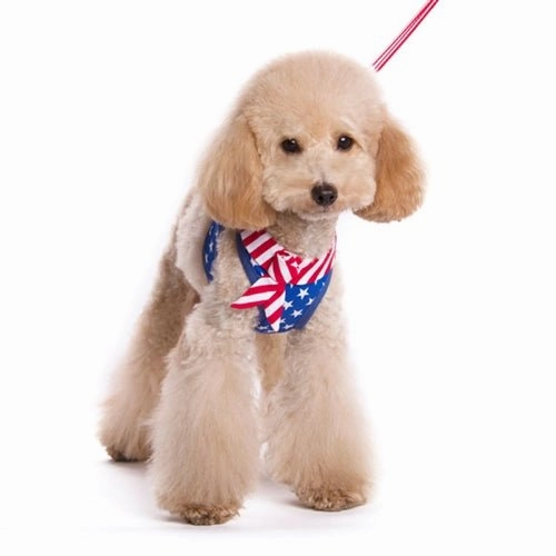 EasyGO USA Step in Harness