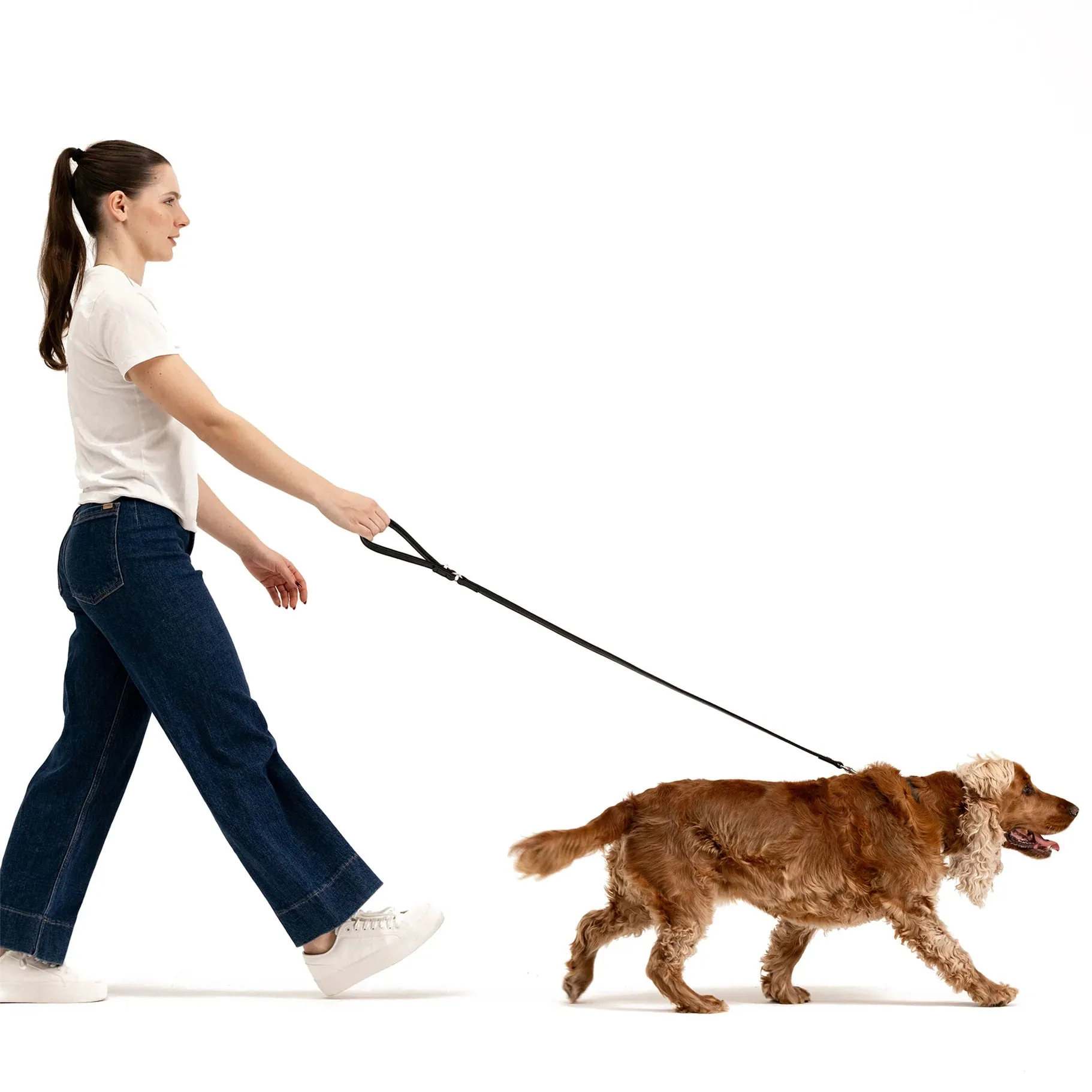 EzyDog Oxford Leather Dog Lead Blonde and Lilac 42inch ($)($)