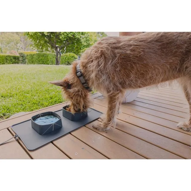 EzyDog Roll-a-Bowl Travel Dog Bowl ($)($)