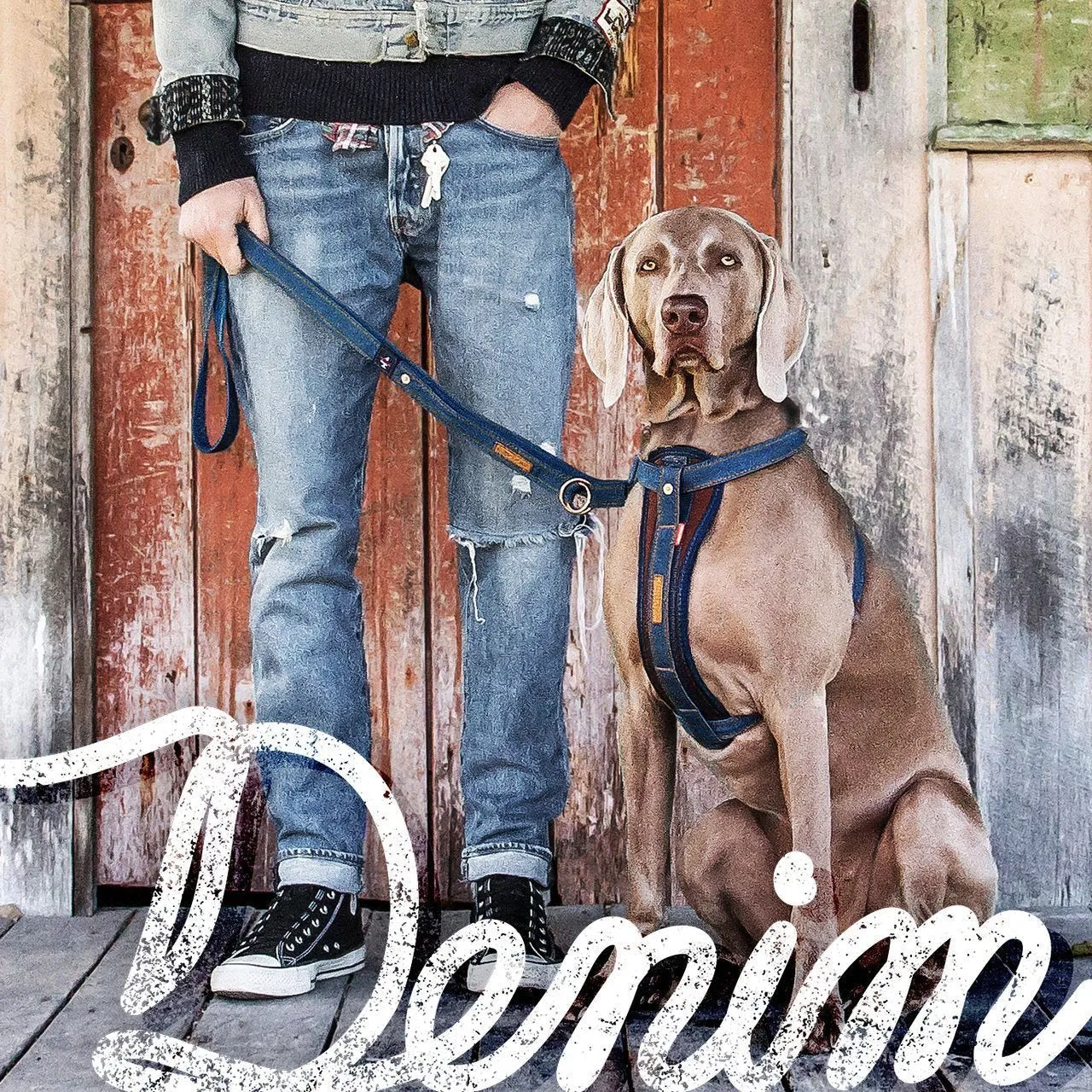 EzyDog Vario 4 Dog Lead Denim ($)($)