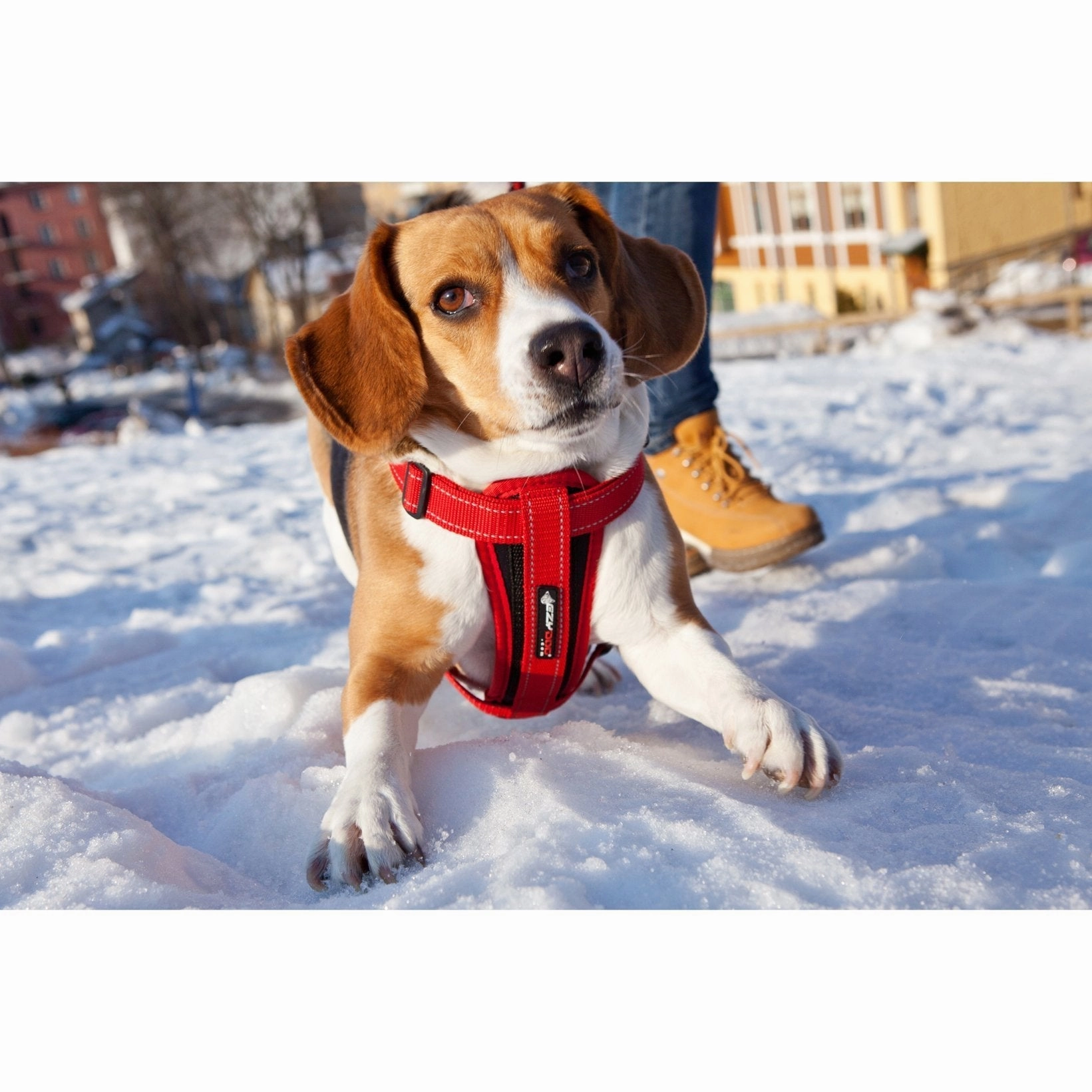 EzyDog Chestplate Dog Harness Black Small ($)($)