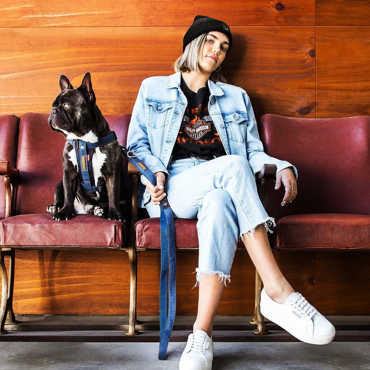 EzyDog Chestplate Dog Harness Denim Large ($)($)