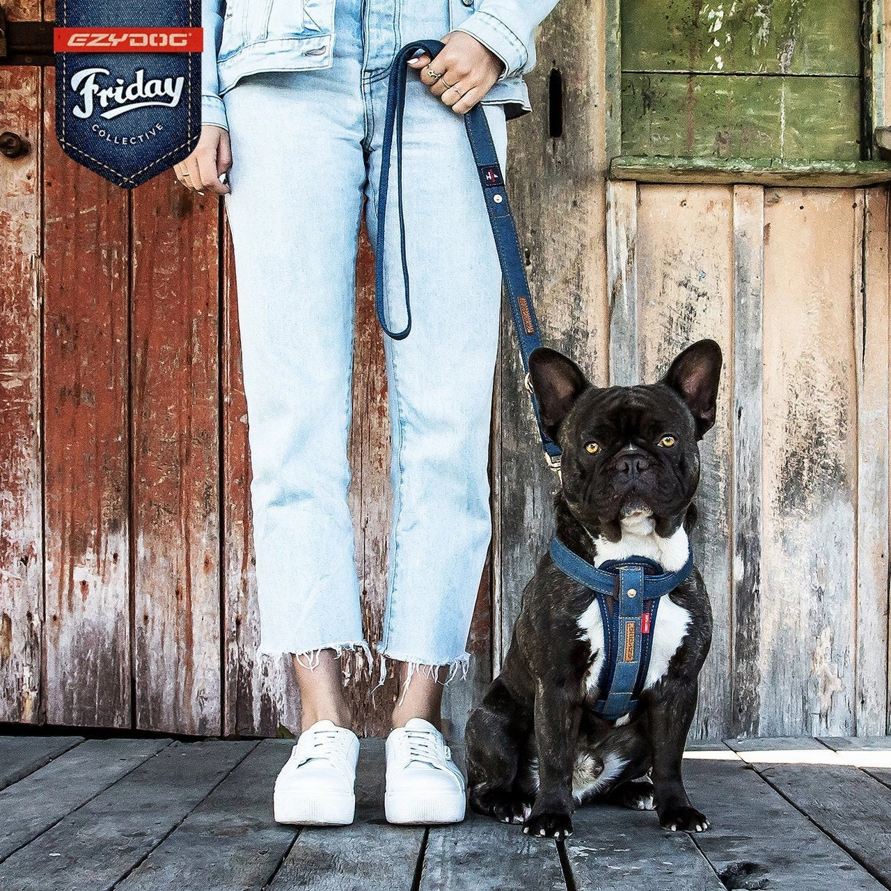 EzyDog Chestplate Dog Harness Denim Large ($)($)