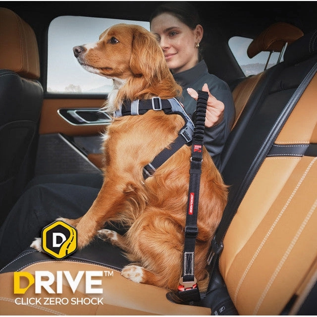 EzyDog Click Zero Shock Car Restraint for Dogs ($)($)