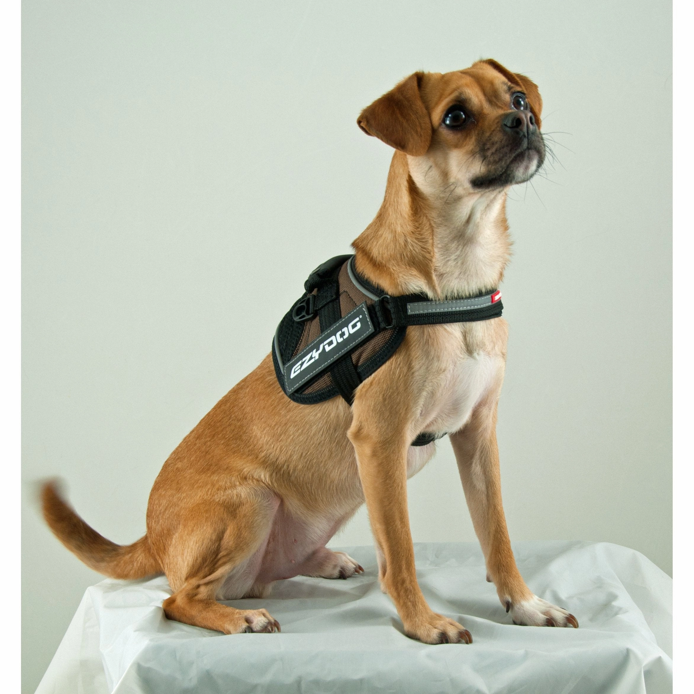 EzyDog Convert Dog Harness Charcoal Extra Extra Large ($)($)