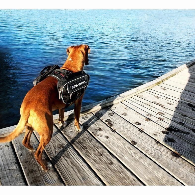 EzyDog Convert Dog Saddle Bags Large ($)($)