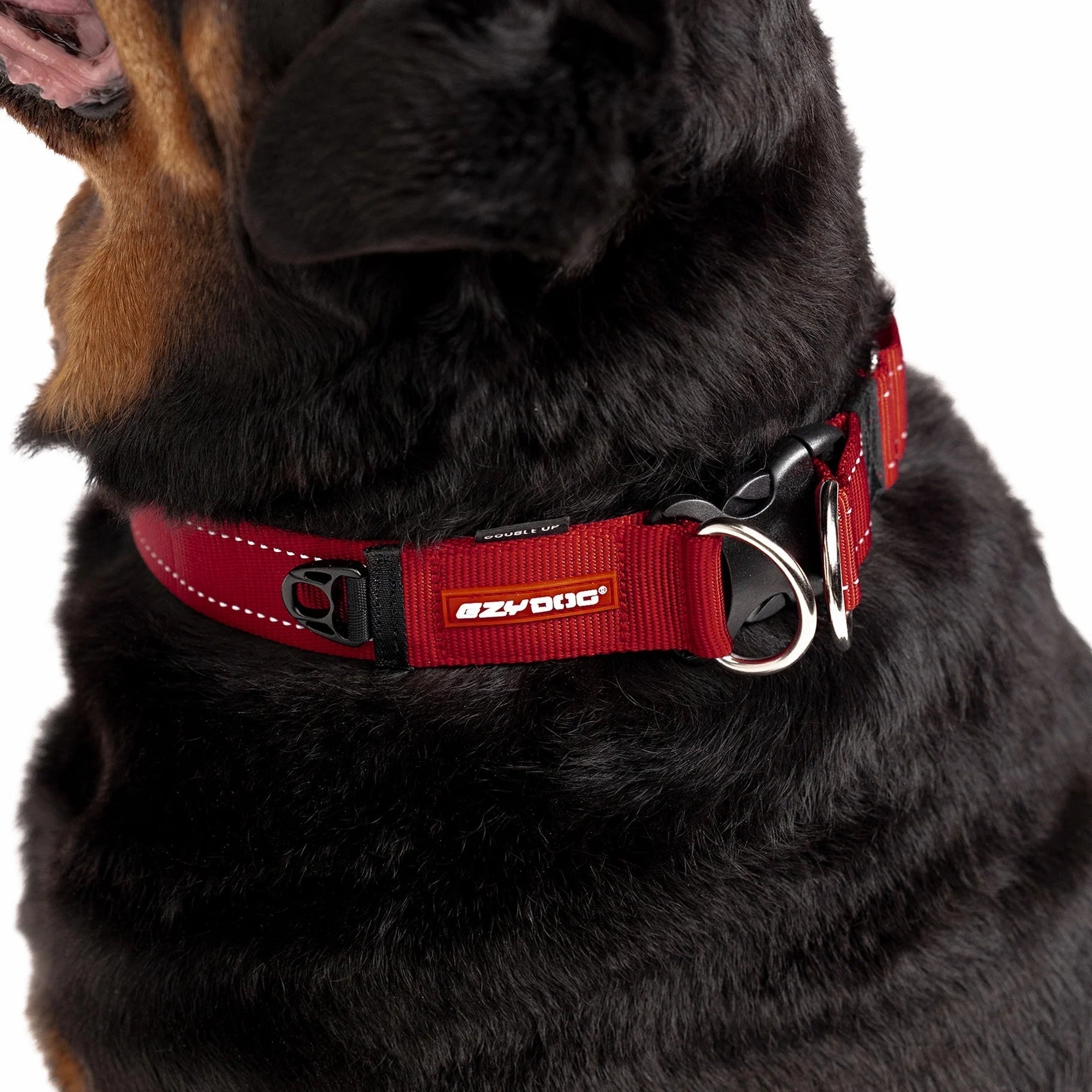 EzyDog Double Up Dog Collar Camo Small ($)($)