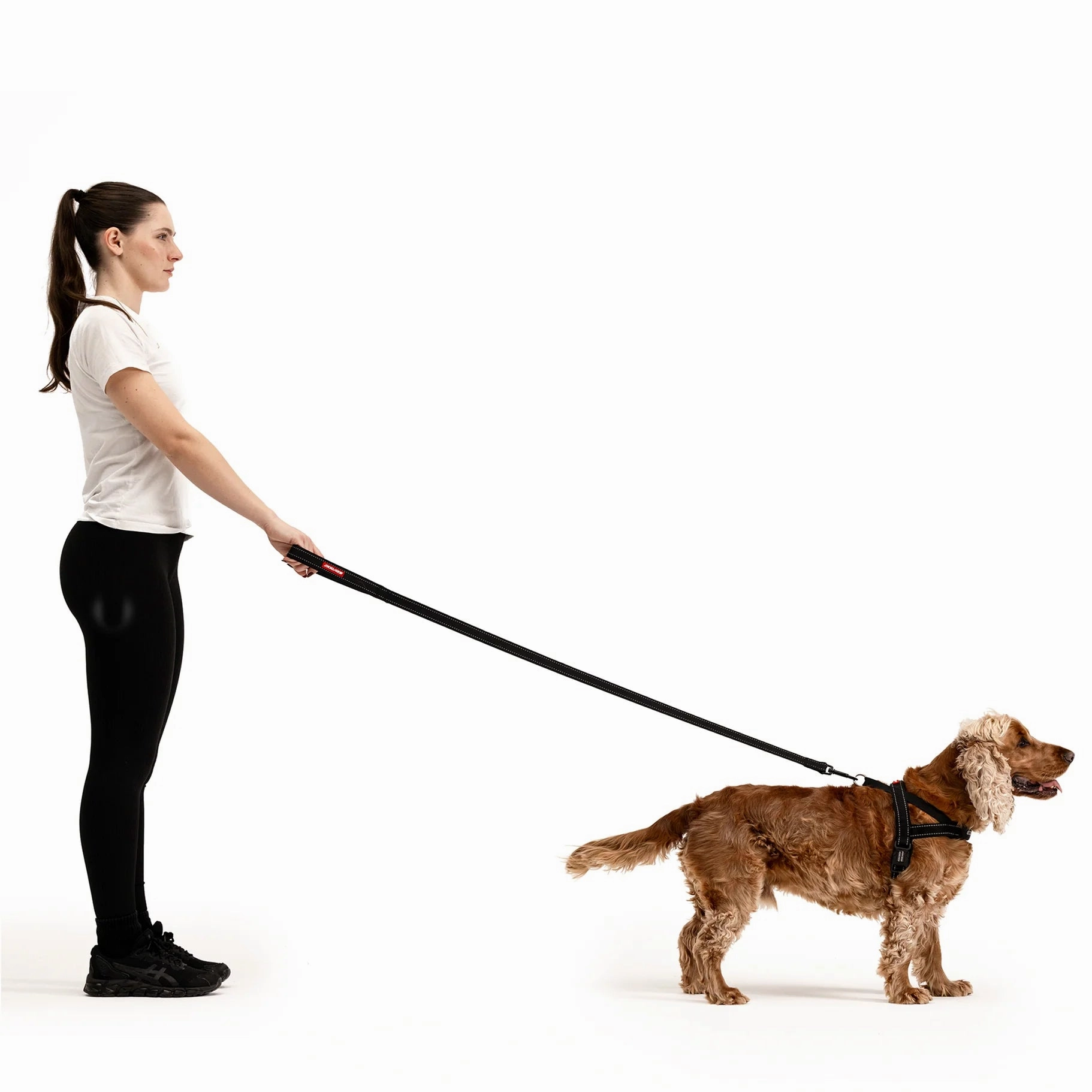 EzyDog Essential Dog Lead Khaki 48inch ($)($)