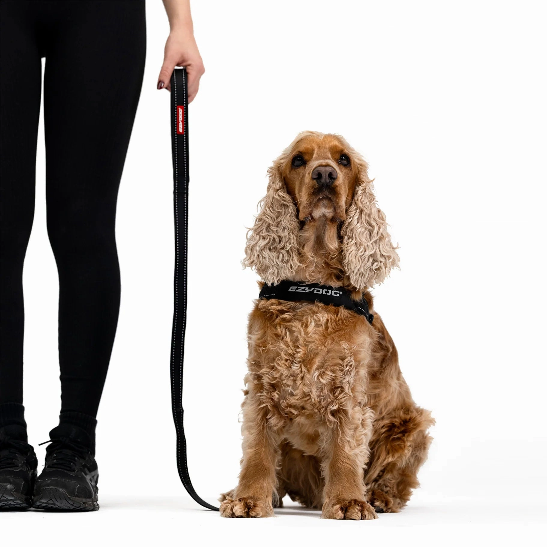 EzyDog Essential Dog Lead Khaki 48inch ($)($)