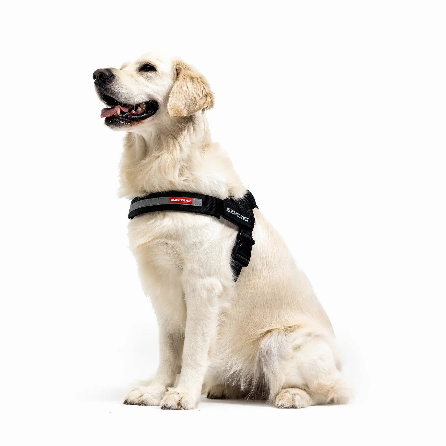 EzyDog Express Black Dog Harness Extra Large ($)($)