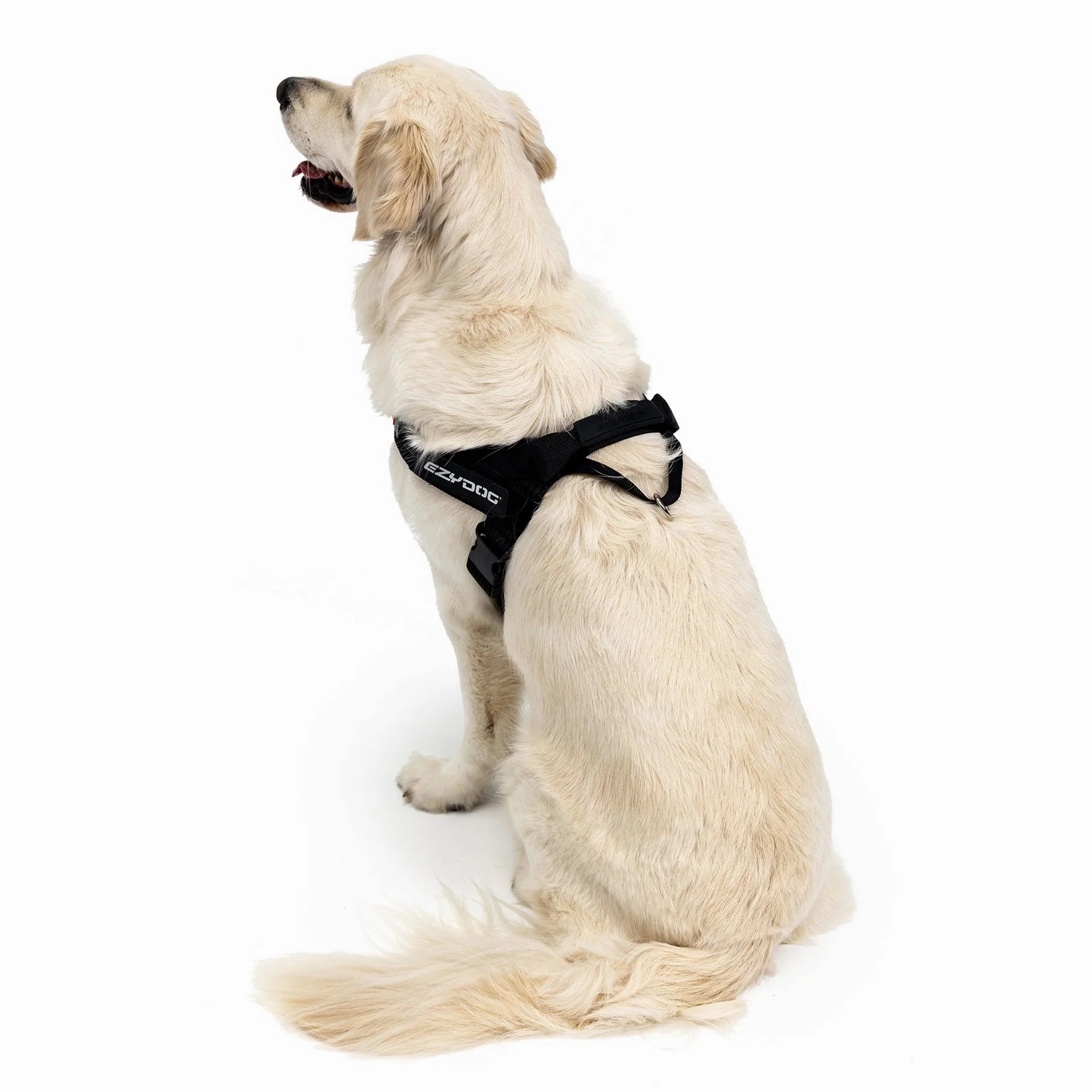 EzyDog Express Black Dog Harness Large ($)($)